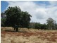 Lot 1 Meadows Road, Hope Forest SA 5172