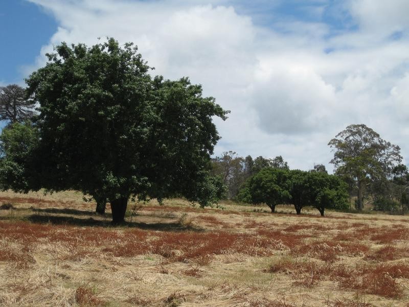 Lot 1 Meadows Road, Hope Forest SA 5172