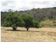 Lot 1 Meadows Road, Hope Forest SA 5172