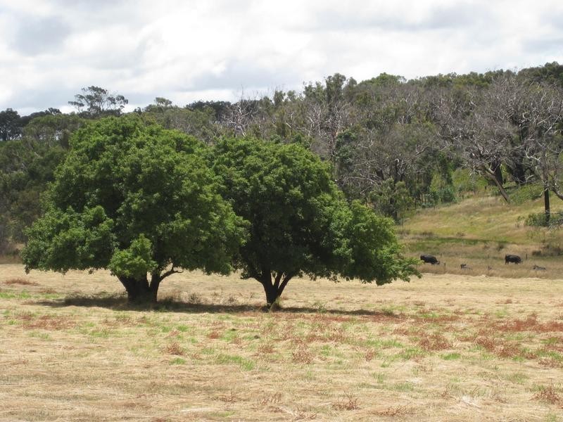 Lot 1 Meadows Road, Hope Forest SA 5172