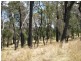 Lot 1 Meadows Road, Hope Forest SA 5172