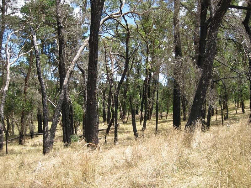 Lot 1 Meadows Road, Hope Forest SA 5172