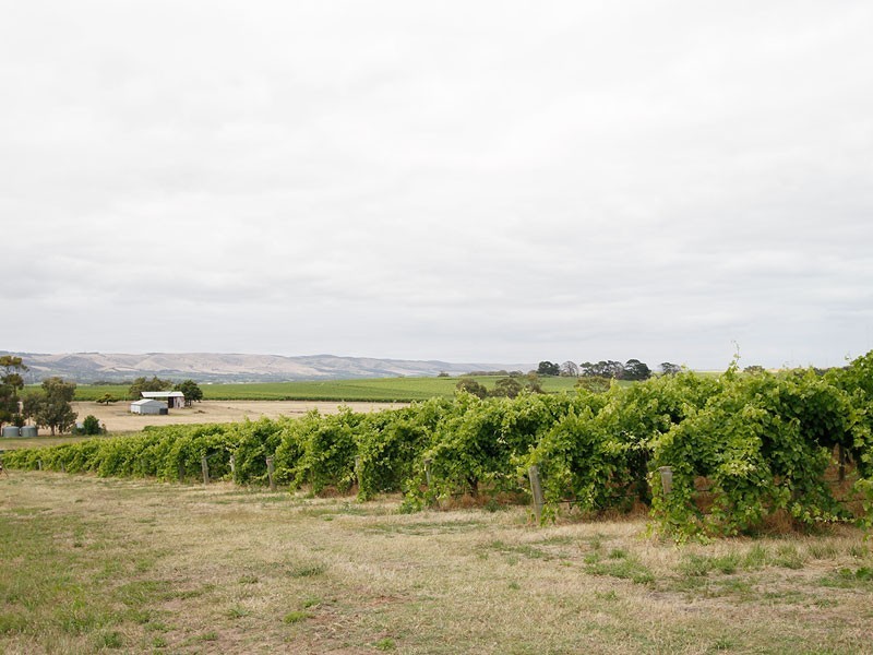 51 Aldersey Street, Mclaren Vale SA 5171
