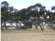 Lot 6 Depledge Road, Victor Harbor SA 5211