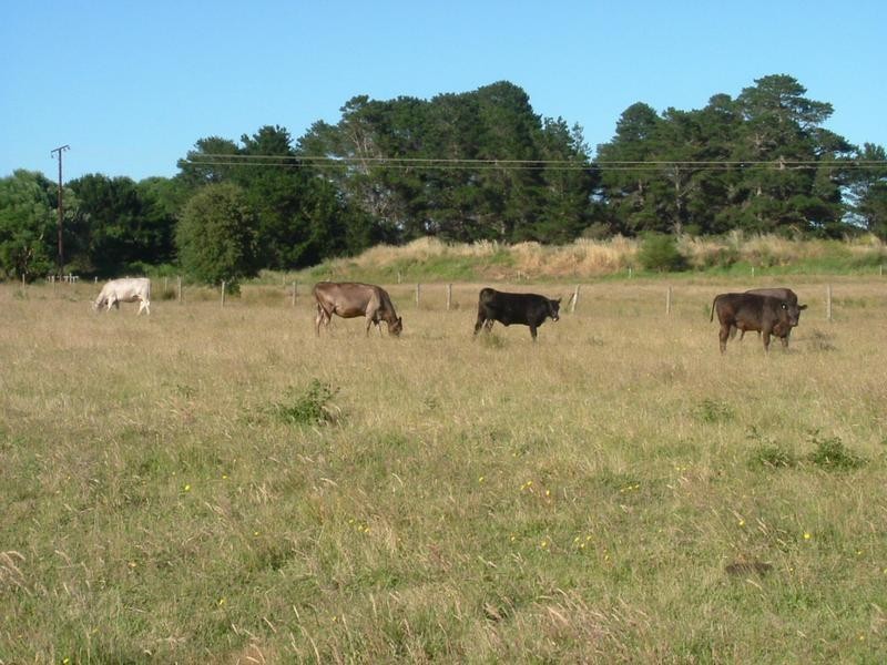 Lot 2 Main Victor Harbor Road, Mount Compass SA 5210