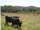 Section 189 Yundi Road, Yundi SA 5172