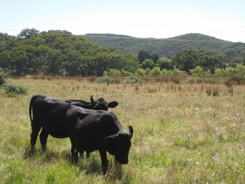 Section 189 Yundi Road, Yundi SA 5172