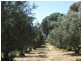 Section 189 Yundi Road, Yundi SA 5172