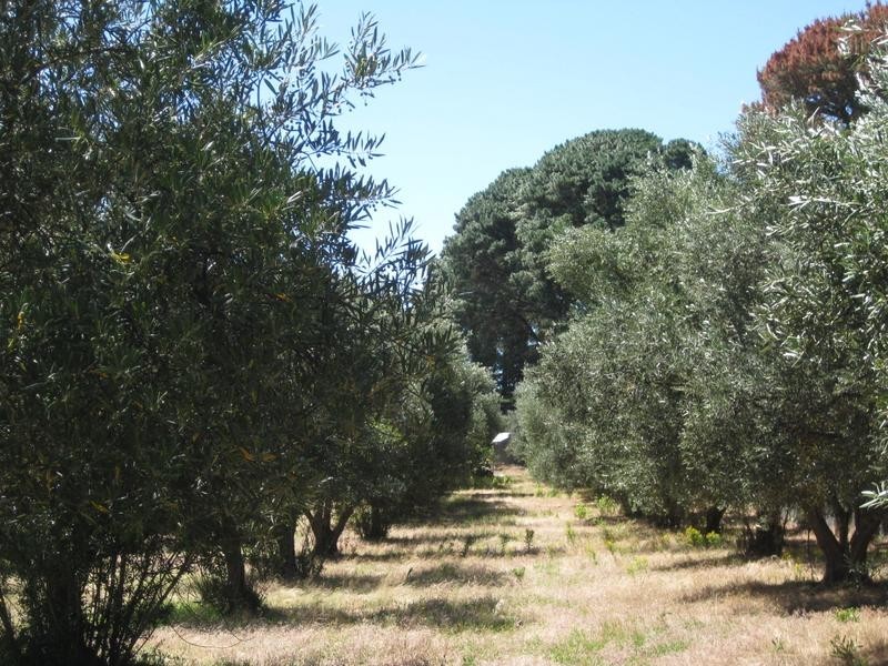Section 189 Yundi Road, Yundi SA 5172