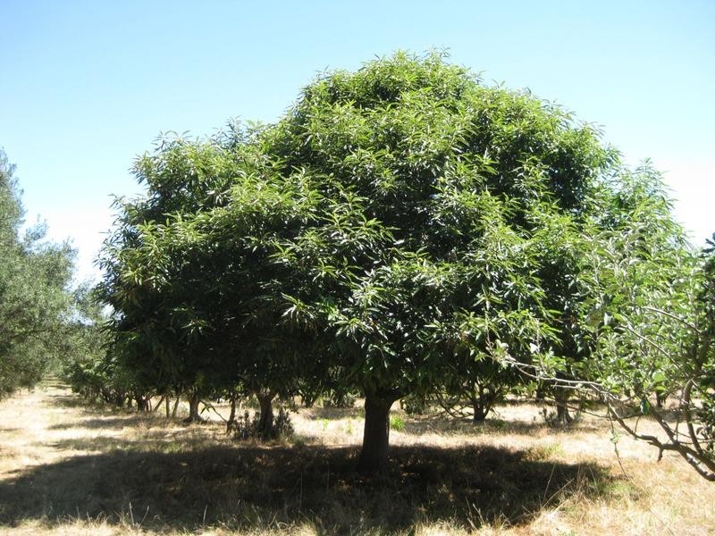 Section 189 Yundi Road, Yundi SA 5172