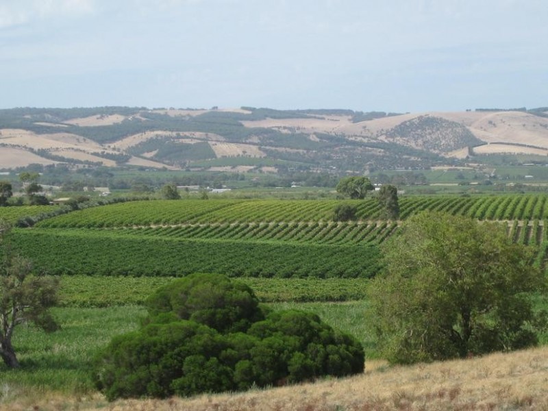 Lot 50 Pethick Road, Mclaren Vale SA 5171