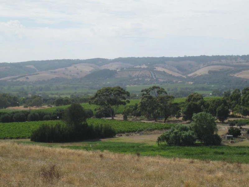Lot 50 Pethick Road, Mclaren Vale SA 5171