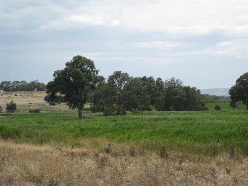Lot 50 Pethick Road, Mclaren Vale SA 5171