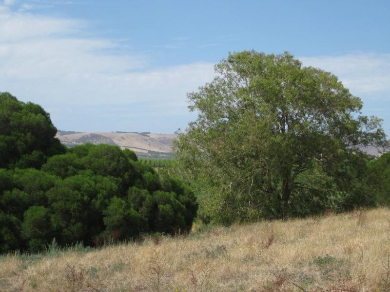 Lot 50 Pethick Road, Mclaren Vale SA 5171