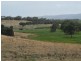 Lot 50 Pethick Road, Mclaren Vale SA 5171