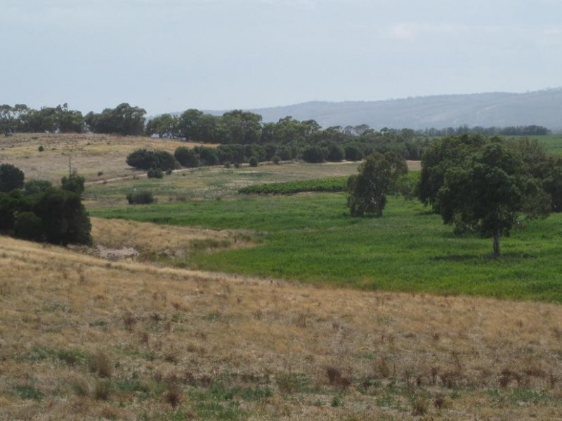 Lot 50 Pethick Road, Mclaren Vale SA 5171