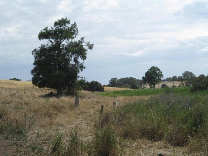 Lot 50 Pethick Road, Mclaren Vale SA 5171