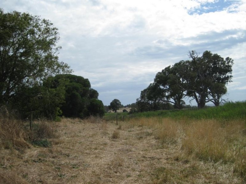 Lot 50 Pethick Road, Mclaren Vale SA 5171