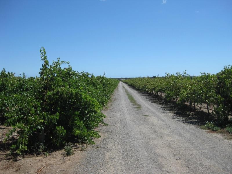 3601 Main South Road, Sellicks Hill SA 5174