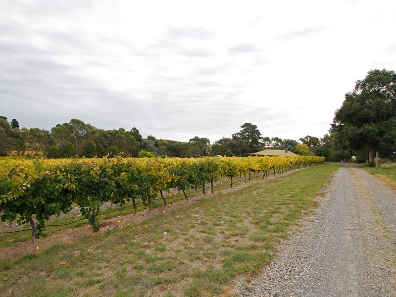 Beltunga Close, Mclaren Vale SA 5171