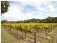 Beltunga Close, Mclaren Vale SA 5171