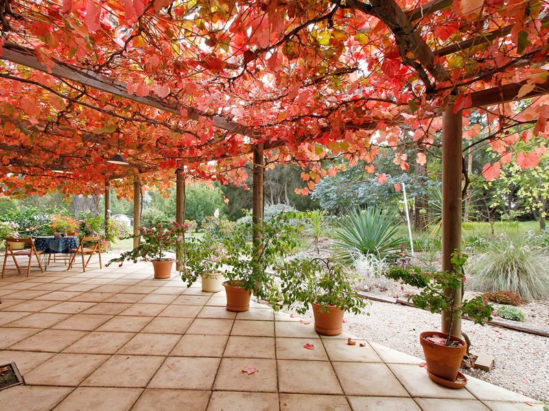 Beltunga Close, Mclaren Vale SA 5171