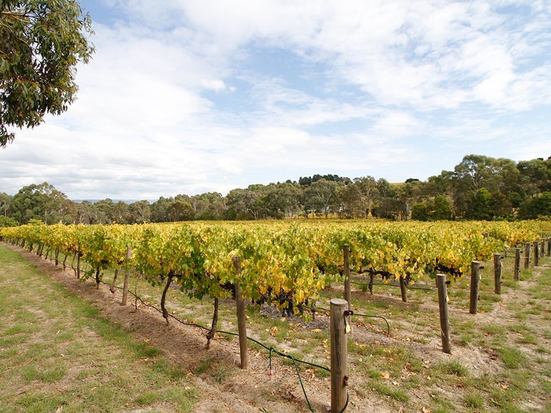 Beltunga Close, Mclaren Vale SA 5171