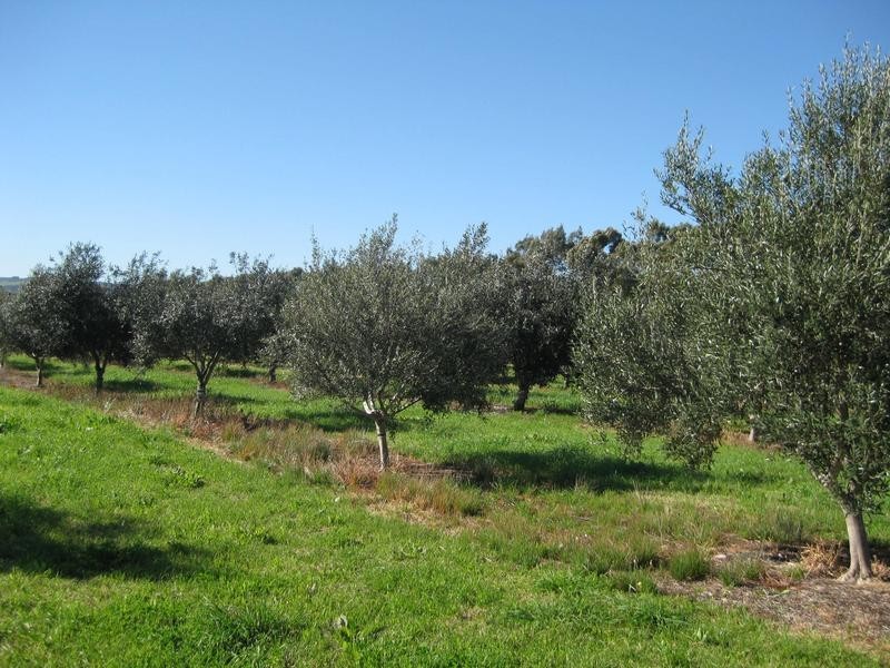 Lot 20 California Road, Mclaren Vale SA 5171