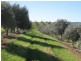 Lot 20 California Road, Mclaren Vale SA 5171