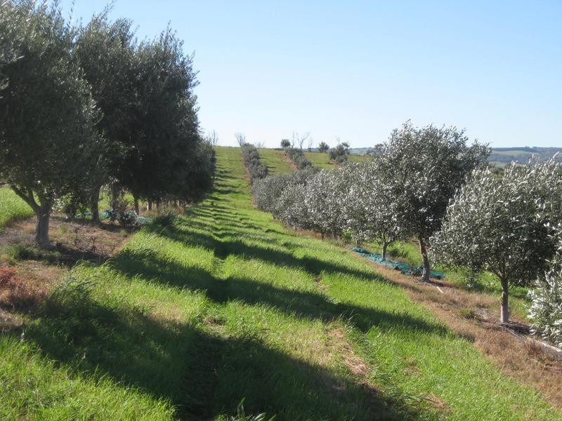 Lot 20 California Road, Mclaren Vale SA 5171