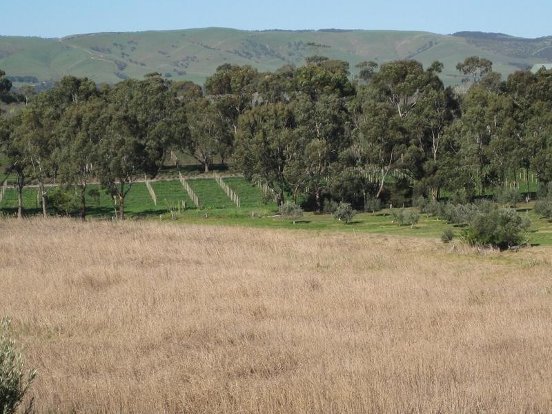 Lot 20 California Road, Mclaren Vale SA 5171