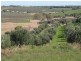 Lot 20 California Road, Mclaren Vale SA 5171