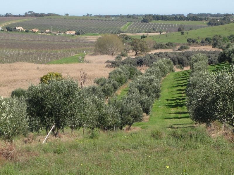 Lot 20 California Road, Mclaren Vale SA 5171