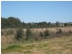 Lot 20 California Road, Mclaren Vale SA 5171