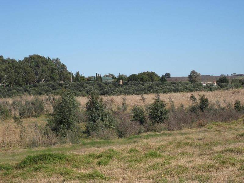Lot 20 California Road, Mclaren Vale SA 5171