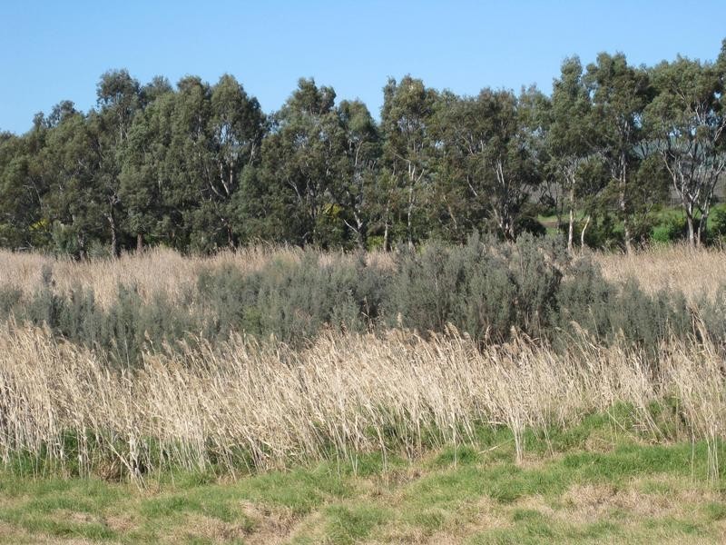 Lot 20 California Road, Mclaren Vale SA 5171
