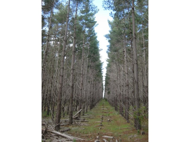 Lot 517,  Willowburn Drive, Mount Compass SA 5210