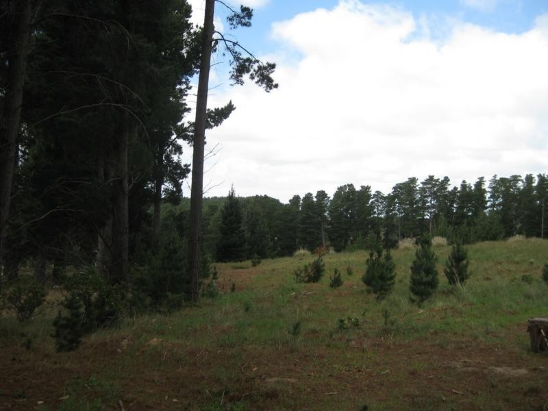 Lot 517,  Willowburn Drive, Mount Compass SA 5210