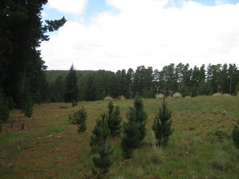 Lot 517,  Willowburn Drive, Mount Compass SA 5210