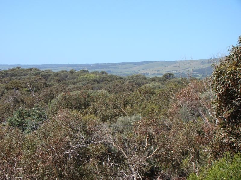 10 Quail Street, Aldinga Beach SA 5173