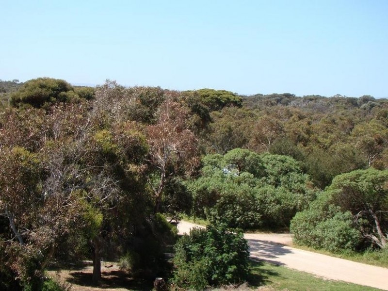 10 Quail Street, Aldinga Beach SA 5173