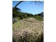 10 Quail Street, Aldinga Beach SA 5173