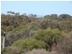 10 Quail Street, Aldinga Beach SA 5173