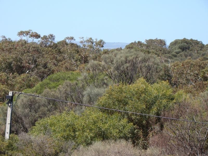 10 Quail Street, Aldinga Beach SA 5173