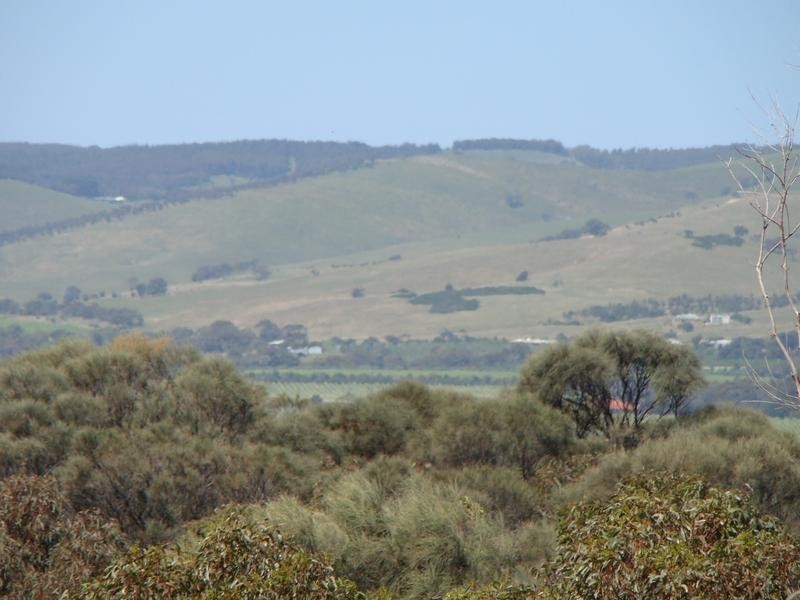 10 Quail Street, Aldinga Beach SA 5173