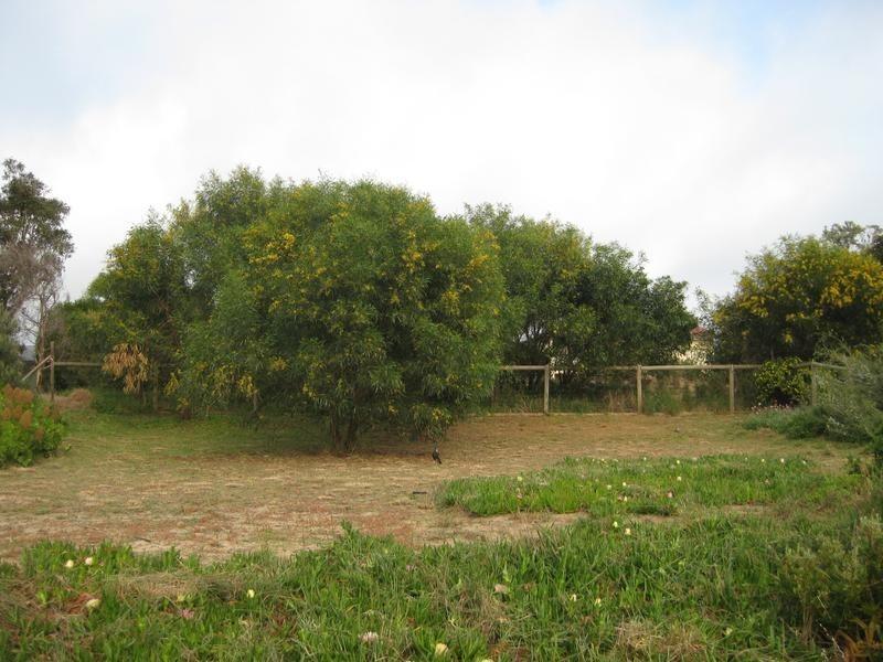 10 Quail Street, Aldinga Beach SA 5173