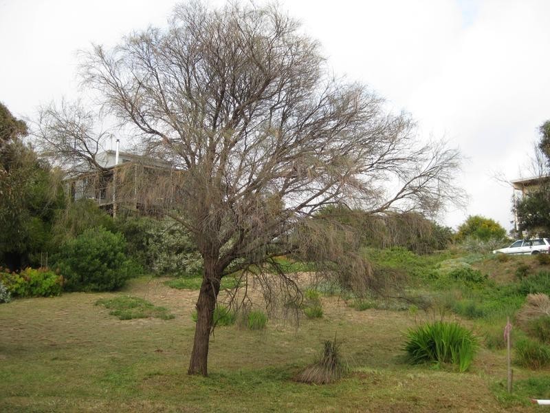 10 Quail Street, Aldinga Beach SA 5173
