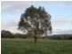 1036 Hindmarsh Valley Road, Myponga SA 5202