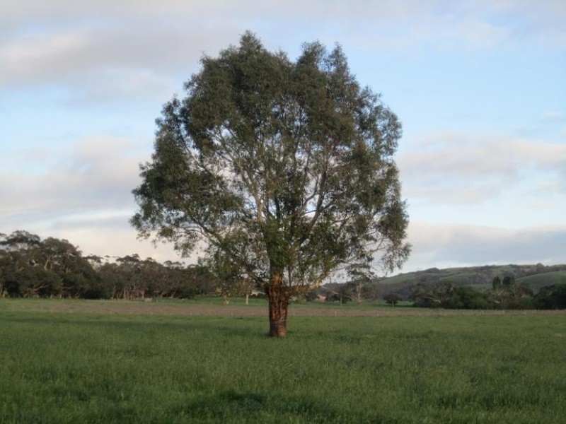 1036 Hindmarsh Valley Road, Myponga SA 5202