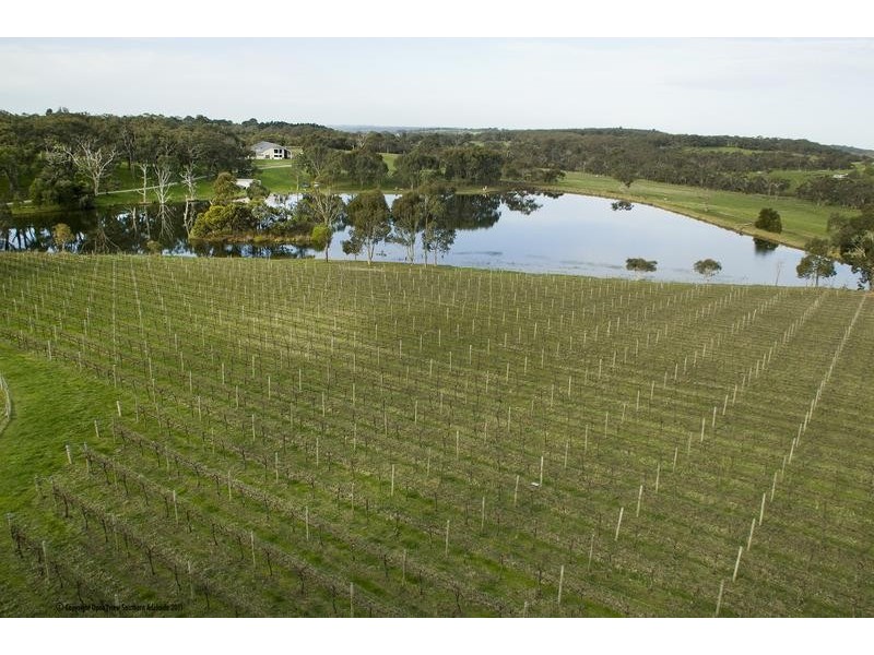 Lot 599,  Blackbilly Road, Willunga SA 5172